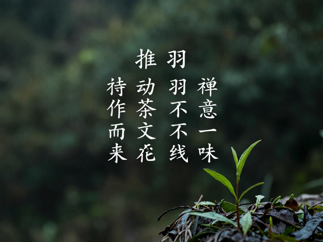 禅茶一味与精神境界的升华