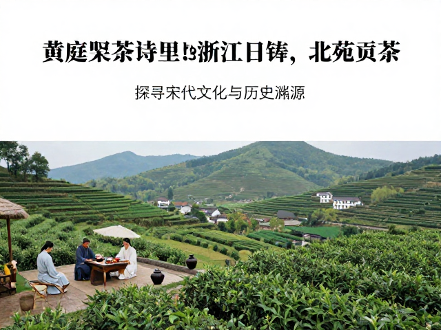 黄庭坚茶诗里的浙江日铸与北苑贡茶，探寻宋代茶文化与历史渊源