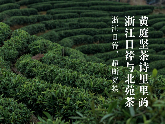 日铸茶的文人意趣与越州风土