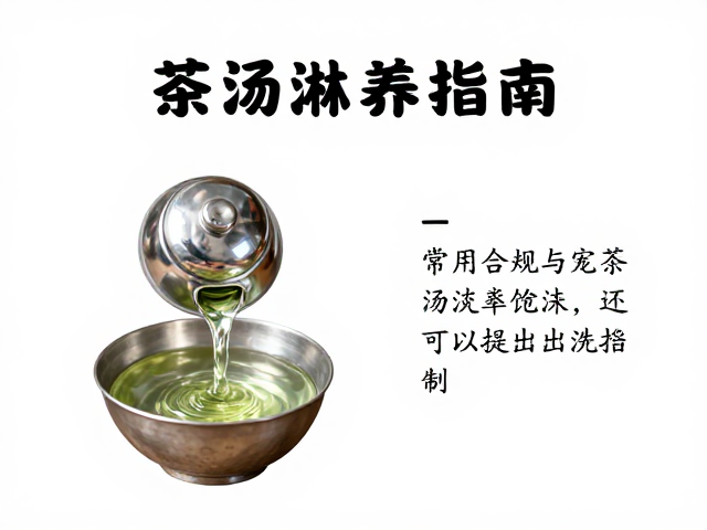 茶汤选择与淋养频率