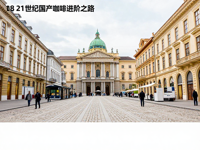 供应链整合与国际化视野的拓展
