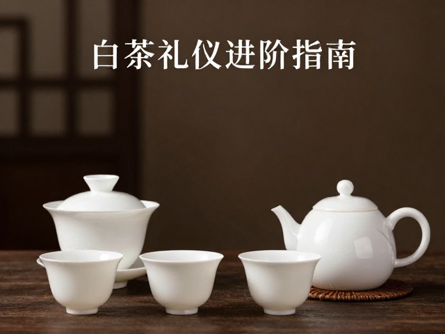 白茶特性与陶瓷器皿的契合逻辑