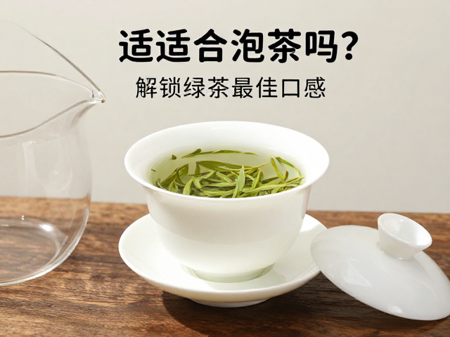 水温控制与投茶量的精准平衡