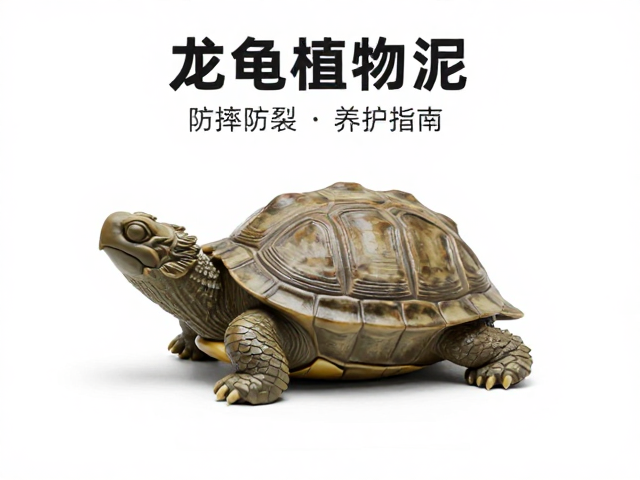 龙龟茶宠选植物泥？防摔防裂技巧与养护指南
