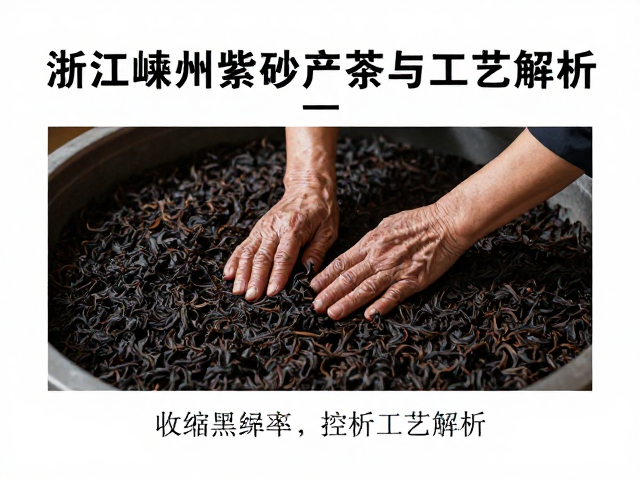 工艺解析中的成型与干燥控制策略