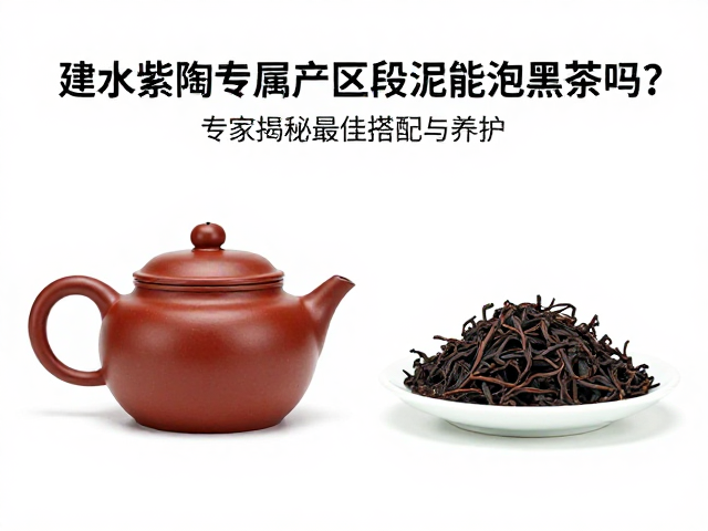 段泥壶与黑茶搭配的风味表现与科学依据