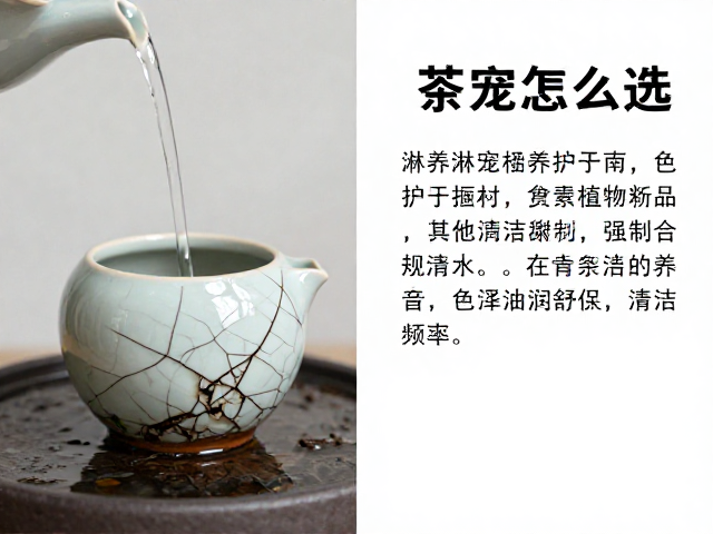 日常淋养的水温控制与清洁频率