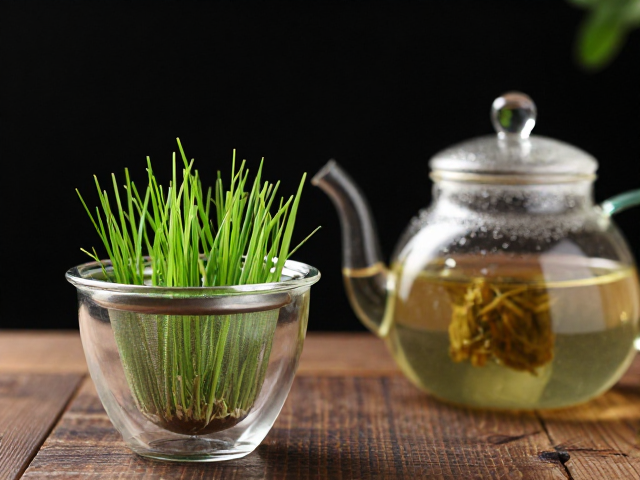 滤网草配玻璃茶壶怎么用？茶滤清洗与选购全攻略