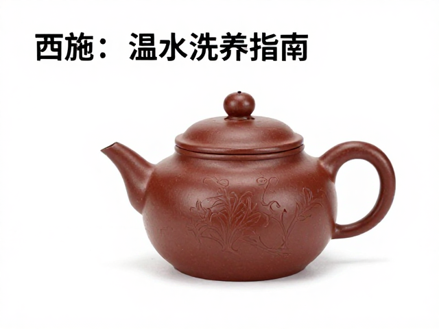 西施壶历史及首次温水清洗保养指南