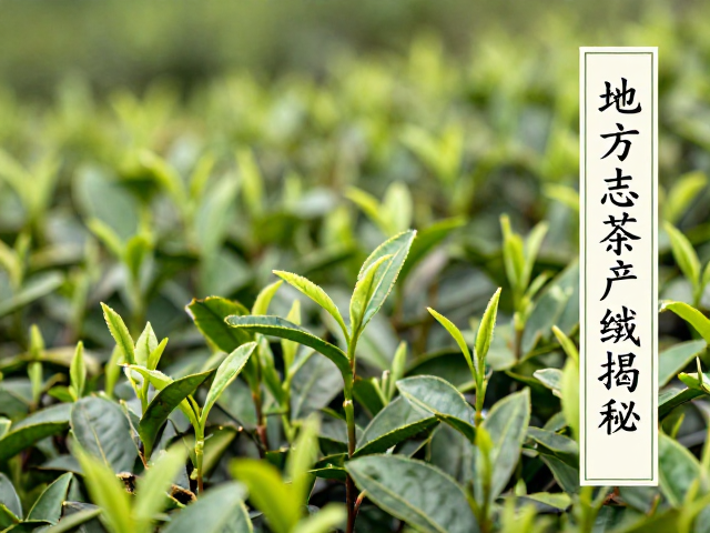 地方志中茶产与紫砂的交叉印证
