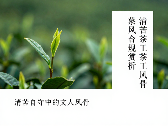 茶道意境与天人合一的哲学追求