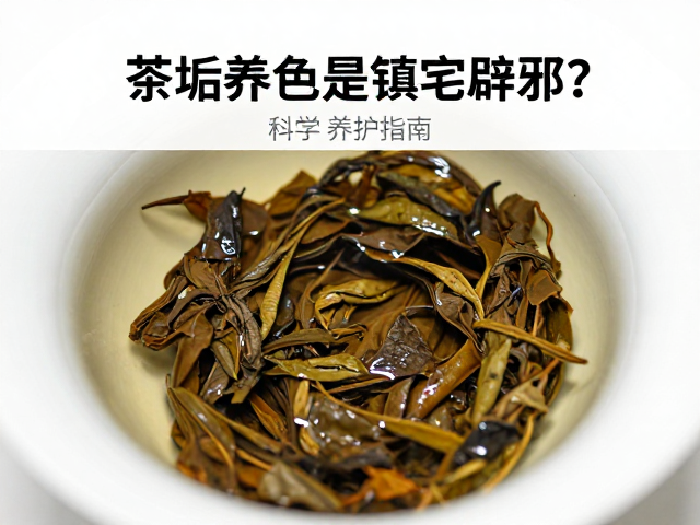 茶垢养色还是镇宅辟邪？避免长期积垢的科学养护指南