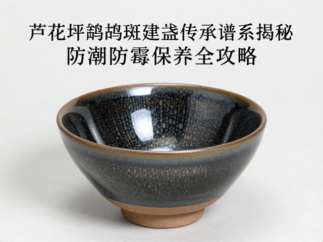 防潮防霉的具体操作与环境控制