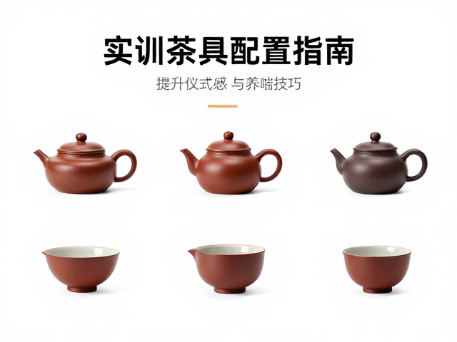 养壶与养器的科学维护策略