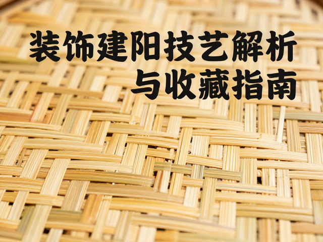 日常保养与长期存放要点