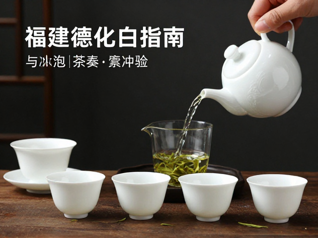 品饮节奏与感官体验的构建
