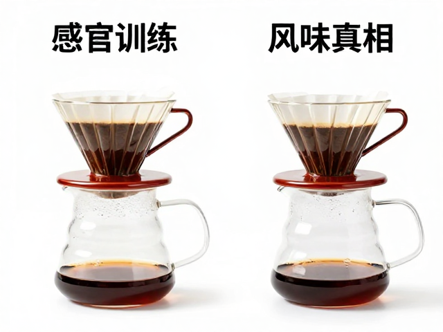 滤杯几何结构对萃取动力学的影响