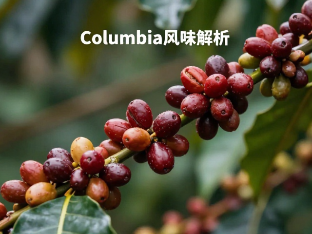 哥伦比亚咖啡的风土基因与微气候影响