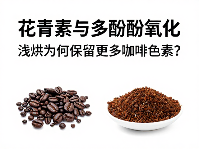 感官表现与化学成分的关联分析