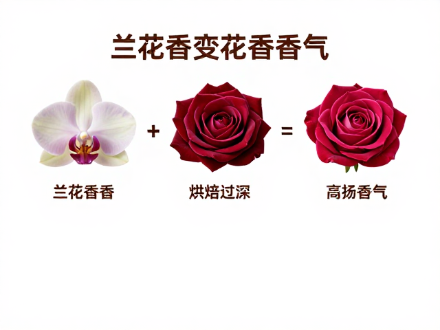 烘焙深度与香气物质的化学演变