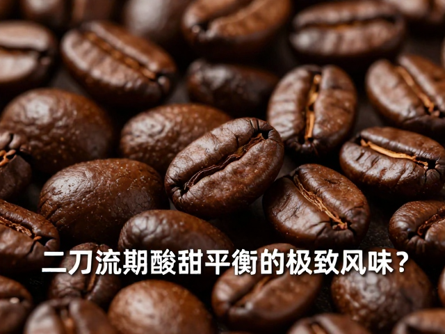 深烘豆体的物理特性与萃取挑战