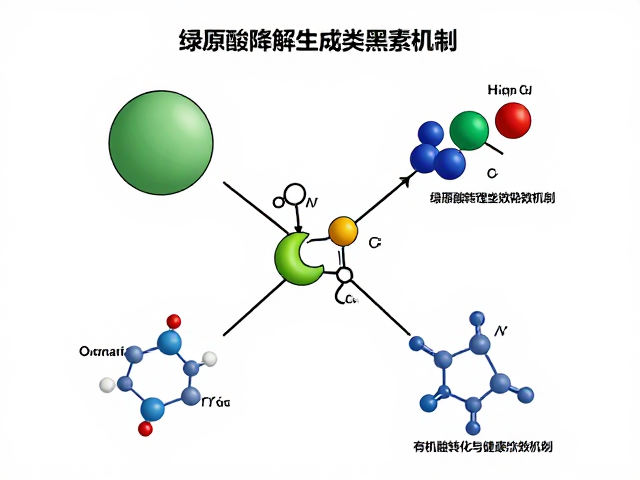 类黑素的理化特性及其生物活性机制