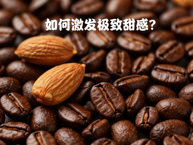 萃取参数与温度控制