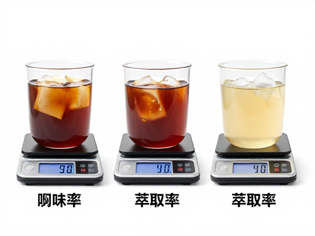 不同萃取阶段的风味物质释放特征
