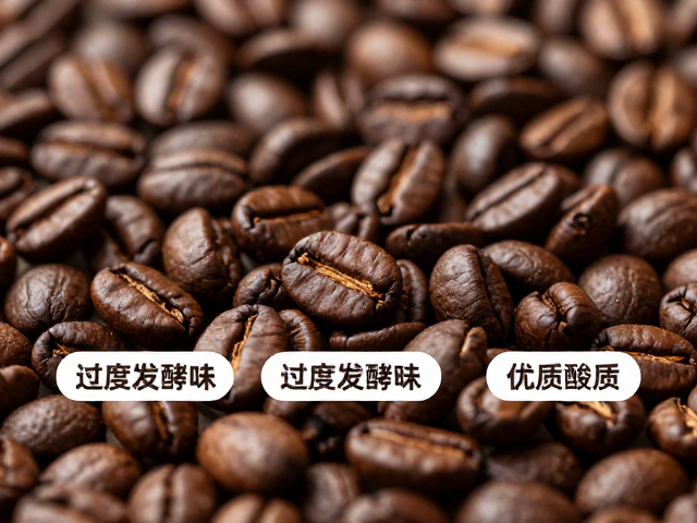 生豆处理与烘焙对风味的影响
