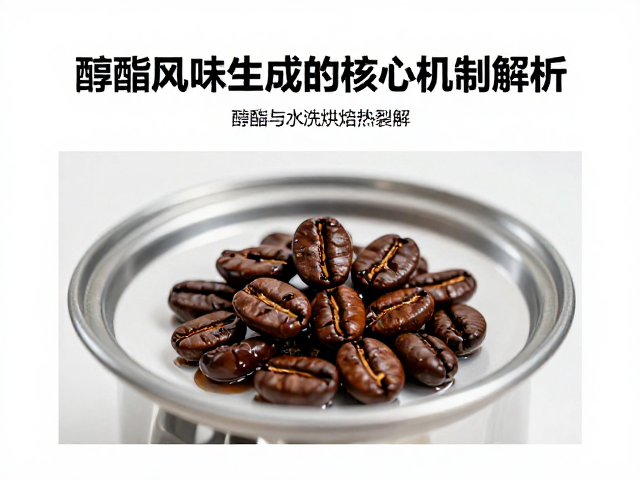热裂解反应中的风味分子重构