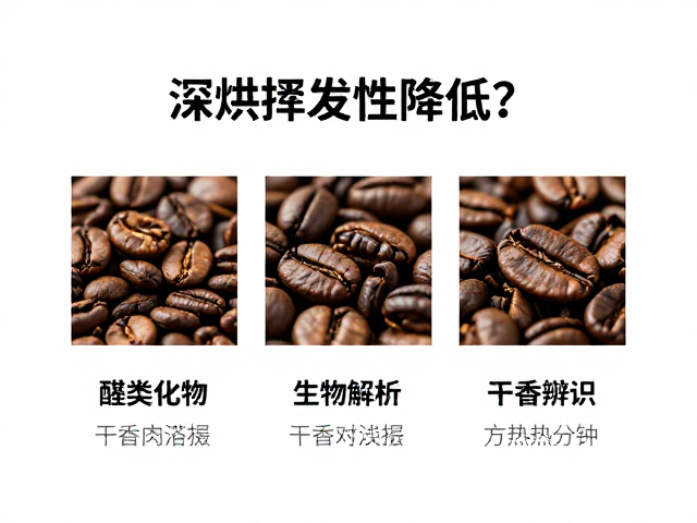 深烘工艺对挥发性物质的热力学影响