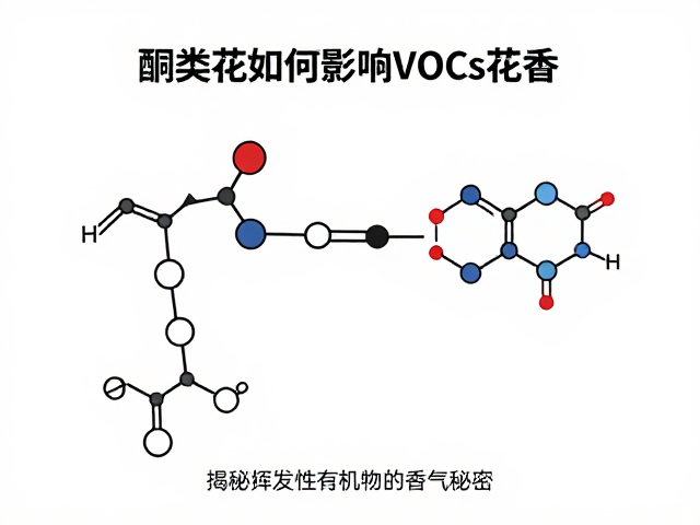 香气感知机制中的酮类物质作用路径