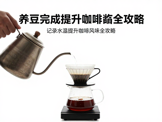 基础水温设定与萃取效率