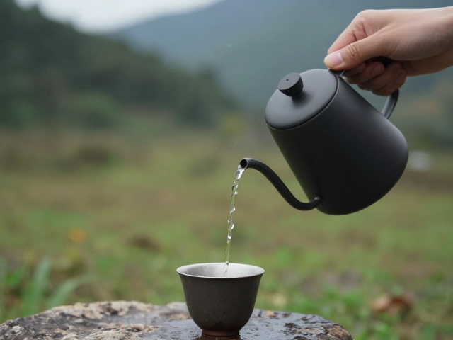 注水技巧与水温控制：激发醇香的关键