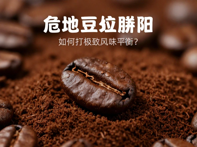 研磨粒度与萃取参数的协同优化