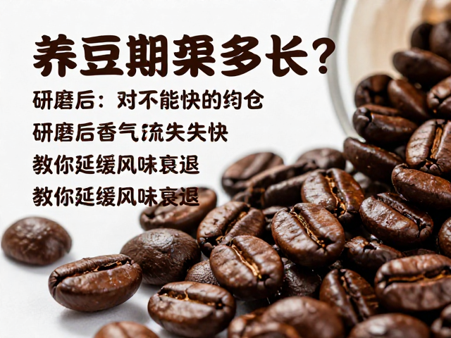 咖啡豆养豆期的科学定义与核心逻辑