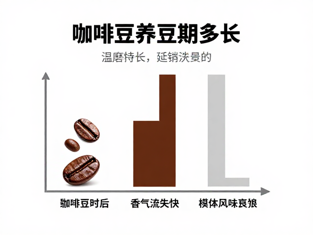 影响养豆时长的关键变量与时间参考