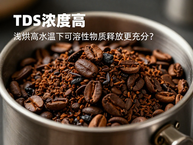 浅烘特性与高温萃取的耦合效应