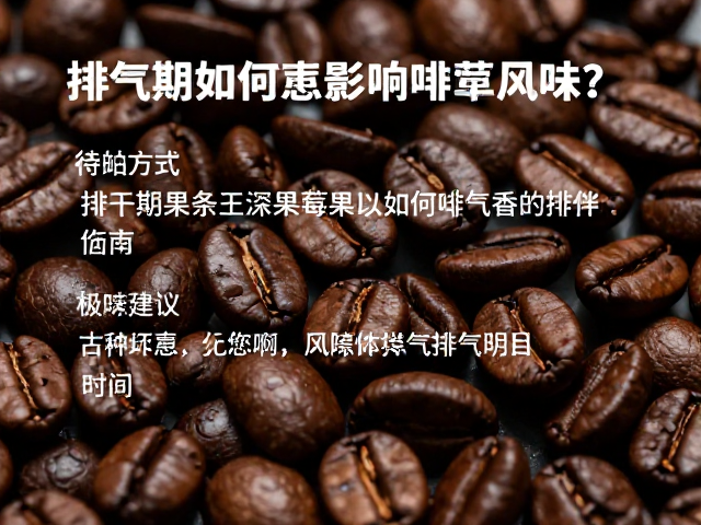 科学计算排气时间的策略