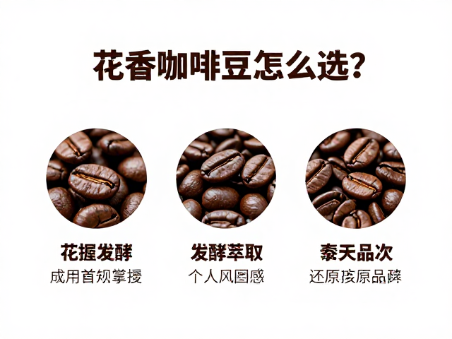 感官品鉴与场景匹配：构建个人风味图谱