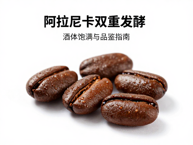 科学冲泡参数与萃取优化