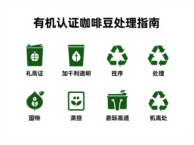 社区回收与专业处理渠道的选择