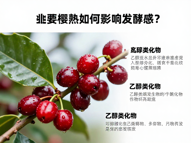 感官体验与化学指标的关联性分析