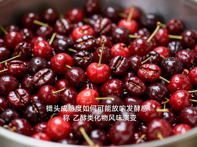 工艺控制与成熟度管理的协同效应