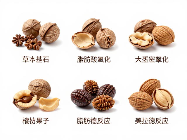 坚果香气的化学基石：从脂肪酸氧化到美拉德反应
