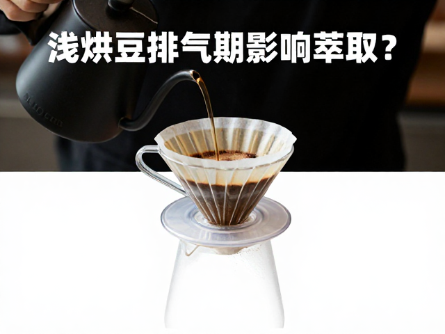 实操中的避坑策略与最佳冲煮建议