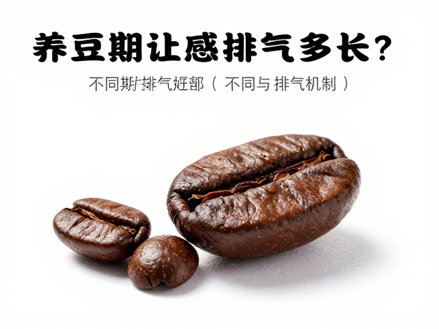 咖啡豆养豆期的核心逻辑与排气机制