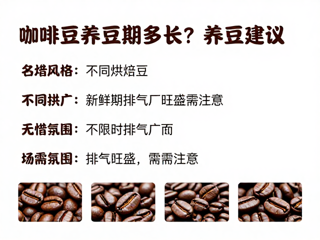 不同烘焙风格下的养豆建议差异