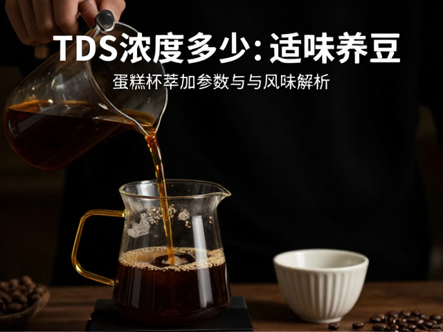风味解析与感官反馈