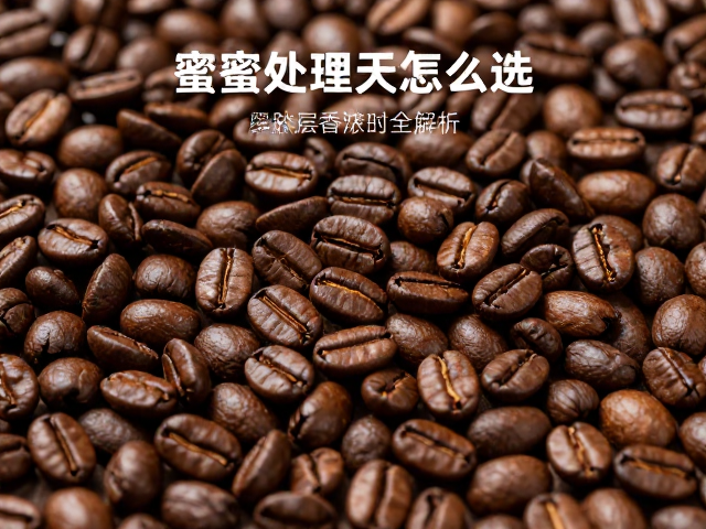 产地特征解析：中美洲与拉丁美洲的表现